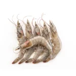 Flower Shrimp