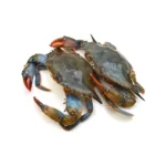 Crab