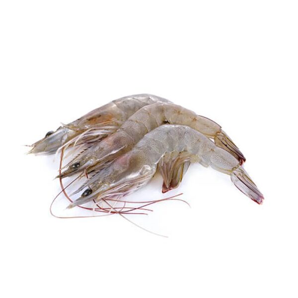 Vannamei Shrimps