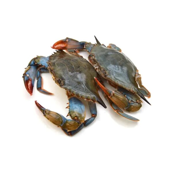 Crab