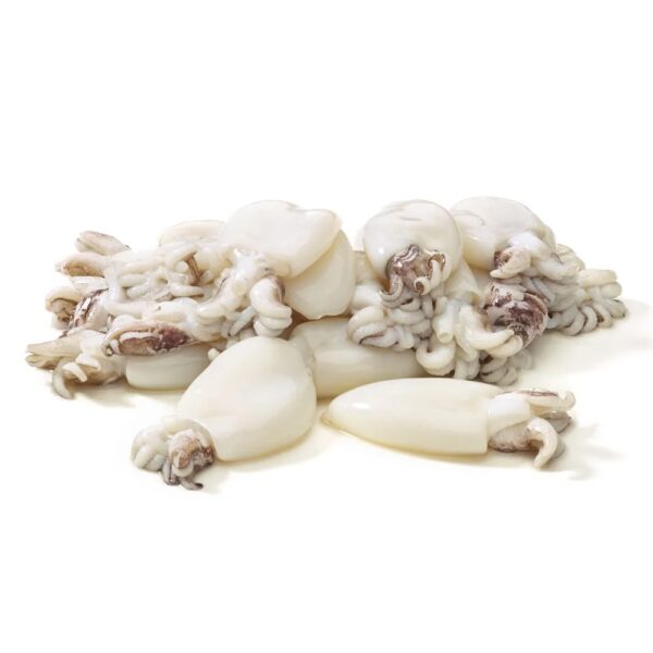 Cuttlefish