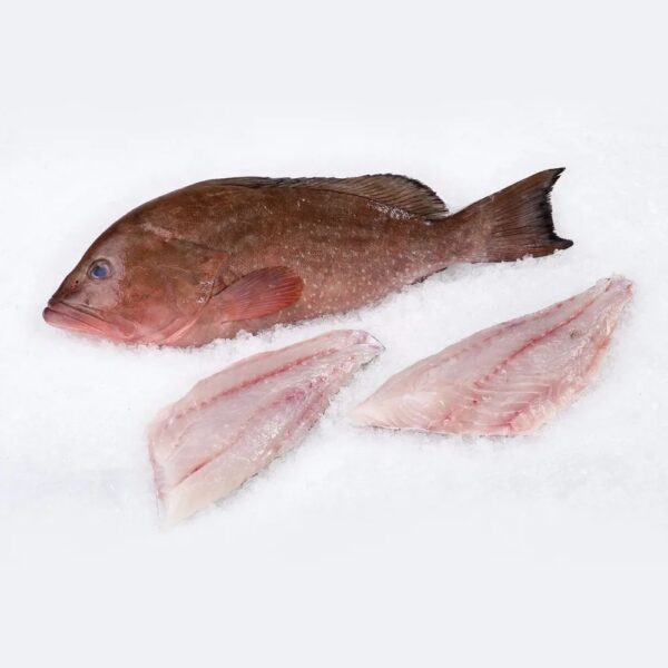 Grouper