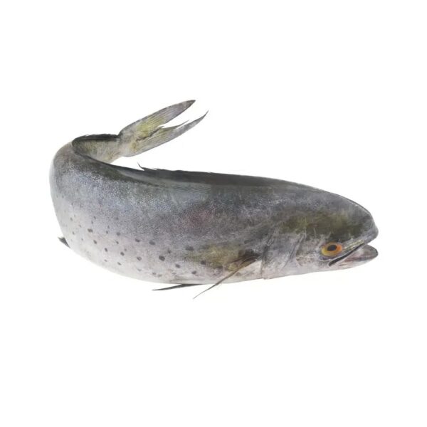Mahi Mahi