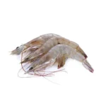 Vannamei Shrimps