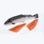 Pacific Salmon